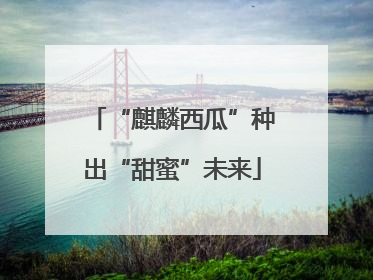 “麒麟西瓜”种出“甜蜜”未来