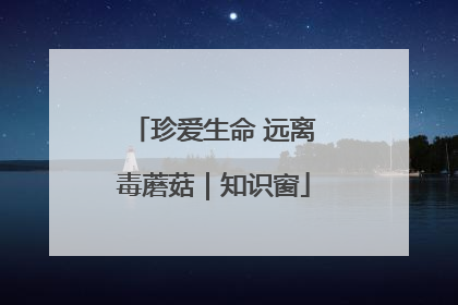 珍爱生命 远离毒蘑菇｜知识窗