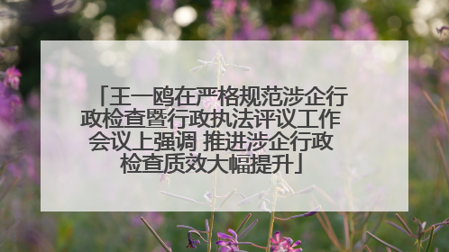 王一鸥在严格规范涉企行政检查暨行政执法评议工作会议上强调 推进涉企行政检查质效大幅提升