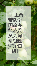 王勇带队全国政协经济委员会调研组赴浙江调研