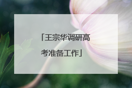 王宗华调研高考准备工作