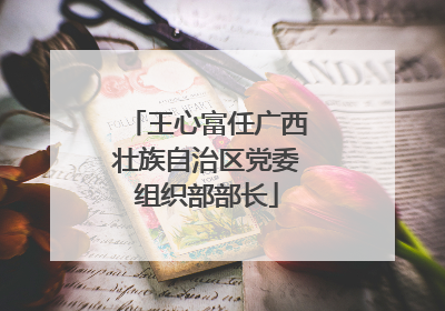 王心富任广西壮族自治区党委组织部部长