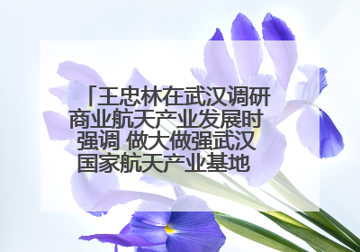王忠林在武汉调研商业航天产业发展时强调 做大做强武汉国家航天产业基地 打造具有全国影响力的“中国星谷”