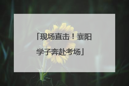 现场直击！襄阳学子奔赴考场