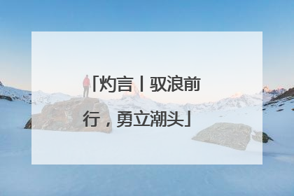 灼言丨驭浪前行，勇立潮头