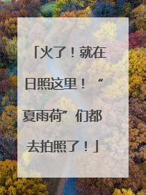 火了！就在日照这里！“夏雨荷”们都去拍照了！
