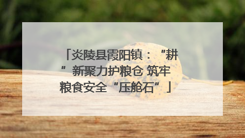 炎陵县霞阳镇：“耕”新聚力护粮仓 筑牢粮食安全“压舱石”