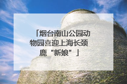 烟台南山公园动物园喜迎上海长颈鹿“新娘”