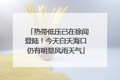 热带低压已在徐闻登陆！今天白天海口仍有明显风雨天气