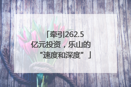 牵引262.5亿元投资，乐山的“速度和深度”
