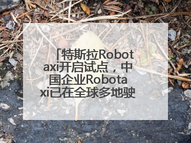 特斯拉Robotaxi开启试点，中国企业Robotaxi已在全球多地驶入日常生活