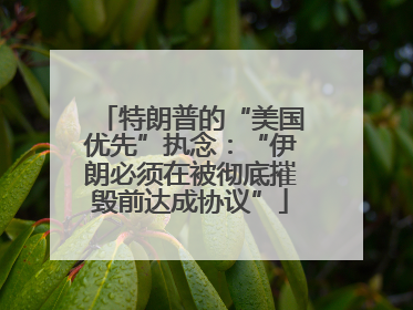 特朗普的“美国优先”执念：“伊朗必须在被彻底摧毁前达成协议”