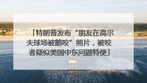 特朗普发布“朋友在高尔夫球场被鹅咬”照片，被咬者疑似美国中东问题特使