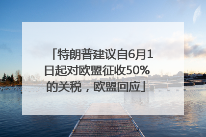 特朗普建议自6月1日起对欧盟征收50%的关税，欧盟回应