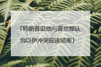 特朗普说他与普京都认为以伊冲突应该结束