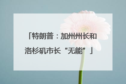 特朗普：加州州长和洛杉矶市长“无能”