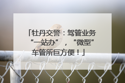 牡丹交警：驾管业务“一站办”，“微型”车管所巨方便！