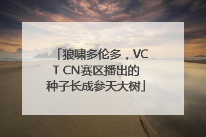 狼啸多伦多，VCT CN赛区播出的种子长成参天大树