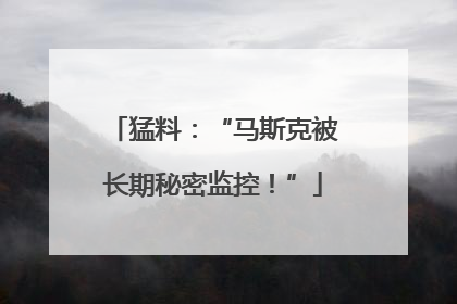 猛料：“马斯克被长期秘密监控！”