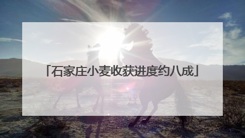 石家庄小麦收获进度约八成