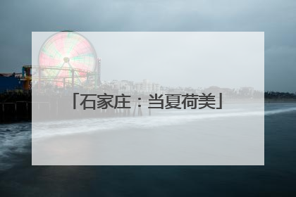 石家庄：当夏荷美