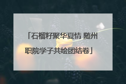 石榴籽聚华夏情 随州职院学子共绘团结卷