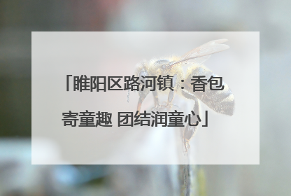 睢阳区路河镇：香包寄童趣 团结润童心
