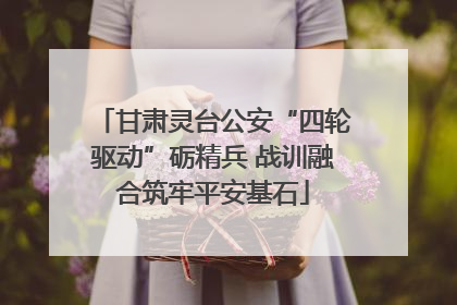 甘肃灵台公安“四轮驱动”砺精兵 战训融合筑牢平安基石