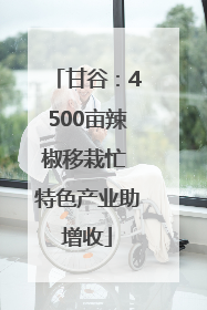 甘谷：4500亩辣椒移栽忙 特色产业助增收