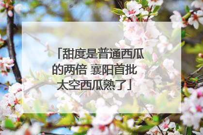 甜度是普通西瓜的两倍 襄阳首批太空西瓜熟了