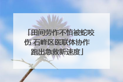 田间劳作不慎被蛇咬伤 石峰区医联体协作跑出急救新速度