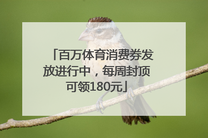 百万体育消费券发放进行中，每周封顶可领180元