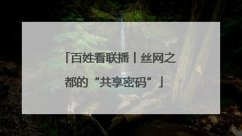 百姓看联播丨丝网之都的“共享密码”
