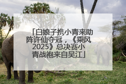 白娘子携小青来助阵许仙夺冠，《乘风2025》总决赛小青战袍来自吴江