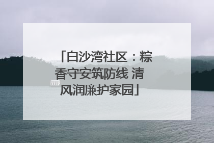 白沙湾社区：粽香守安筑防线 清风润廉护家园