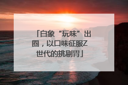 白象“玩味”出圈，以口味征服Z世代的挑剔胃
