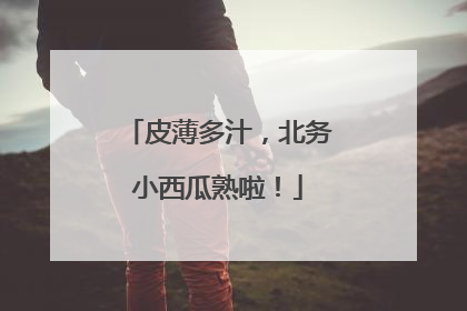 皮薄多汁，北务小西瓜熟啦！