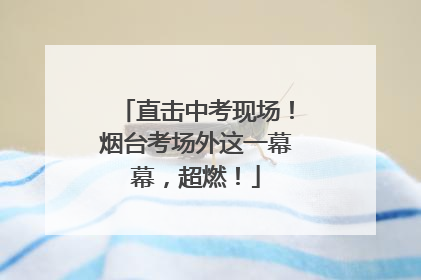 直击中考现场！烟台考场外这一幕幕，超燃！