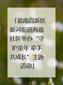 盐南高新区新河街道海嘉社区举办“守护童年 牵手共成长”主题活动