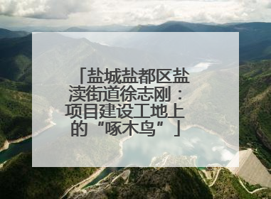 盐城盐都区盐渎街道徐志刚：项目建设工地上的“啄木鸟”