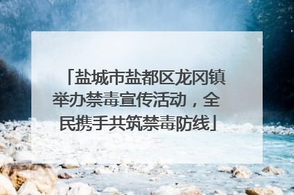 盐城市盐都区龙冈镇举办禁毒宣传活动，全民携手共筑禁毒防线