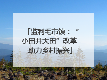 监利毛市镇：“小田并大田”改革 助力乡村振兴