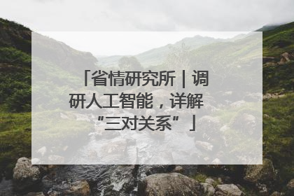 省情研究所｜调研人工智能，详解“三对关系”