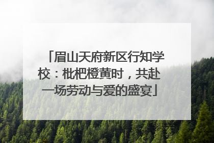 眉山天府新区行知学校：枇杷橙黄时，共赴一场劳动与爱的盛宴