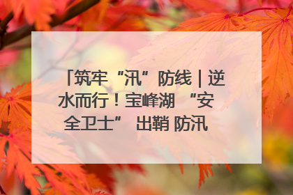 筑牢“汛”防线｜逆水而行！宝峰湖 “安全卫士” 出鞘 防汛应急再添硬核力量