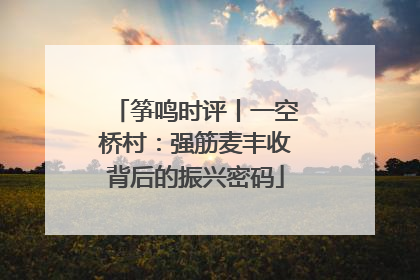 筝鸣时评丨一空桥村：强筋麦丰收背后的振兴密码