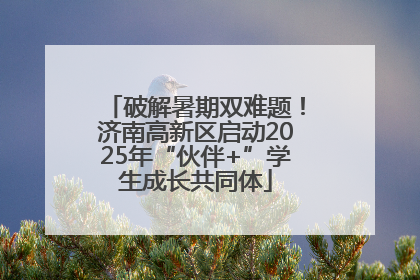 破解暑期双难题！济南高新区启动2025年“伙伴+”学生成长共同体
