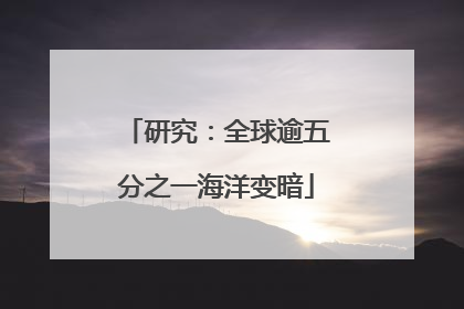 研究：全球逾五分之一海洋变暗
