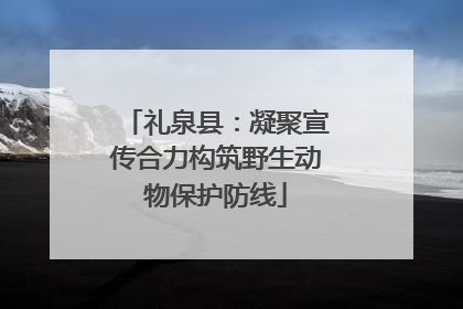 礼泉县：凝聚宣传合力构筑野生动物保护防线