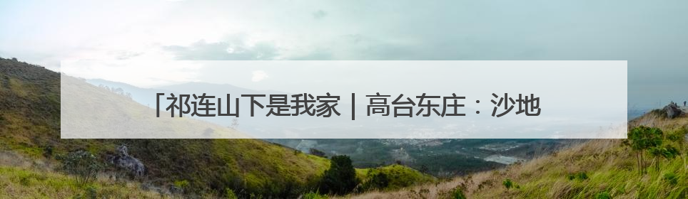 祁连山下是我家｜高台东庄：沙地“露水瓜” 甜了舌尖 富了农家